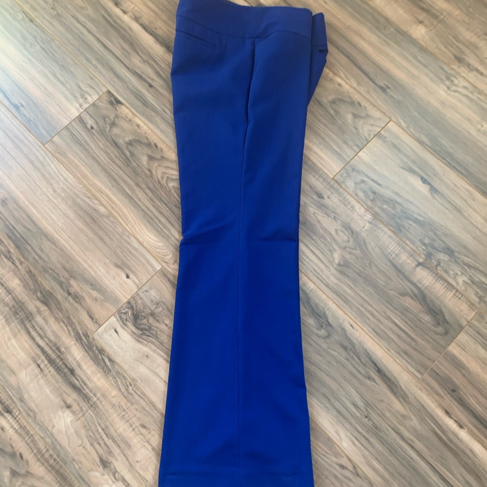 Express Editor Pants